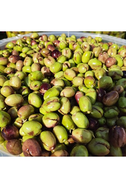 KAZDAĞLARI ORGANİK LEZZETLER Acı Kırma Zeytin (tatlanmamış) 1KG