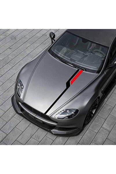 Avex Set autocolante tuning autoadezive în două culori, model „Hood Stripes V...