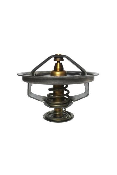 Thermotec Termostat racire Fendt 130100061001