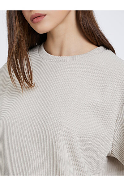 Styli Grey Flat Knit Round Neck T-Shirt