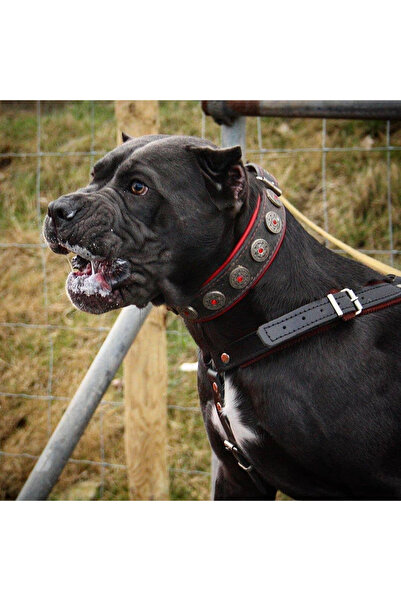 Bestia Bijou Collar, Leather, M, Black/Red