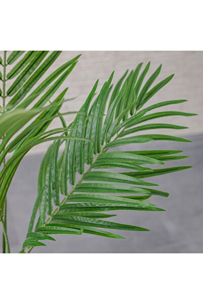 Danube Home Artificial Phoenix Palm Tree – Lush Faux Tropical Indoor Plant, Premium Decorative Palm