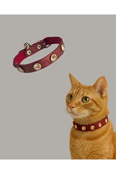 GOLD BE طوق قطط أنيق وآمن بطول 27 سم - تصميم مع جرس وأحجار