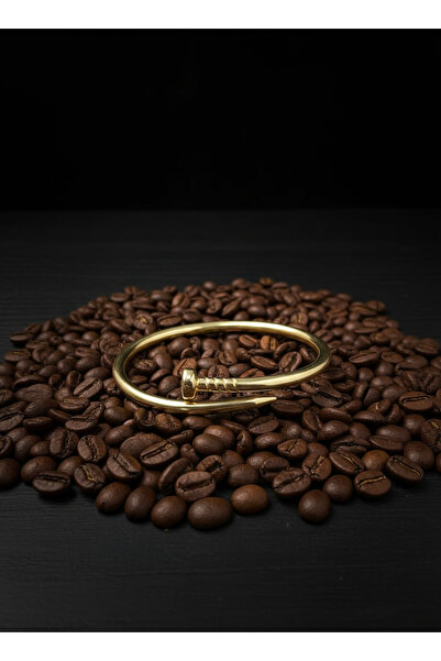 BBR Collection Trend Çivi Model Su Yolu Altın Kaplama Çelik Bilezik 💫