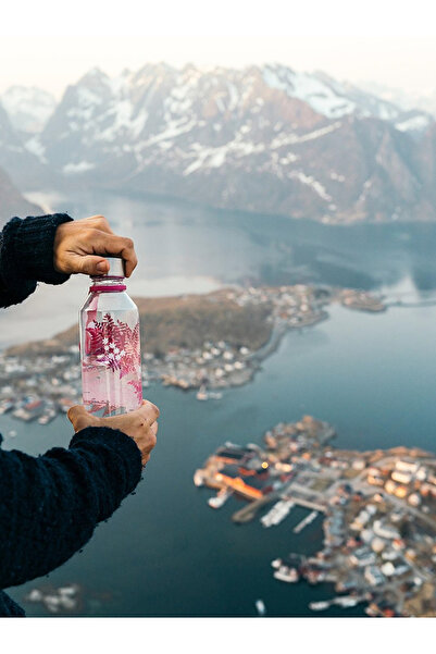 Nalgene By Styli WisdomFlask 0.65 L Love