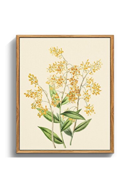 MHARTK66 Imprimeu pe pânză, imprimare HD, montare ușoară, ramă din lemn 30x40...