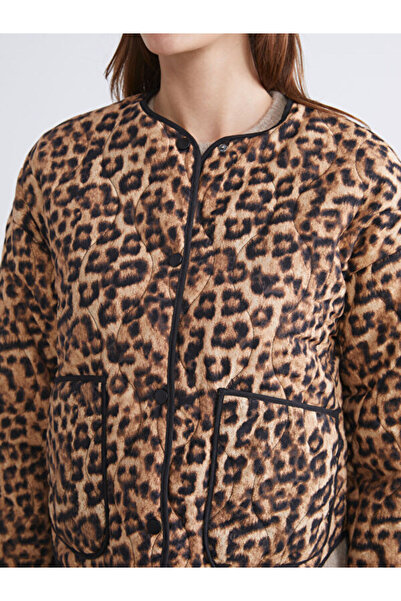 LC Waikiki Γυναικείο παλτό με λεοπάρ σχέδιο με λαιμόκοψη
