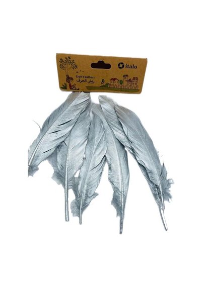 Generic 11 Pcs Feathers Crafts Goose Feathers for DIY Earrings Craft For Home...