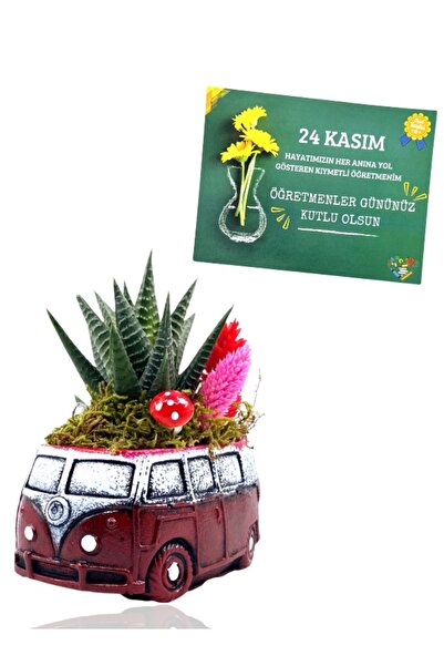 MEGA KANYON 24 Kasım Öğretmenler Günü Hediyesi / Sukulent Çiçekli Bordo Vosvo...