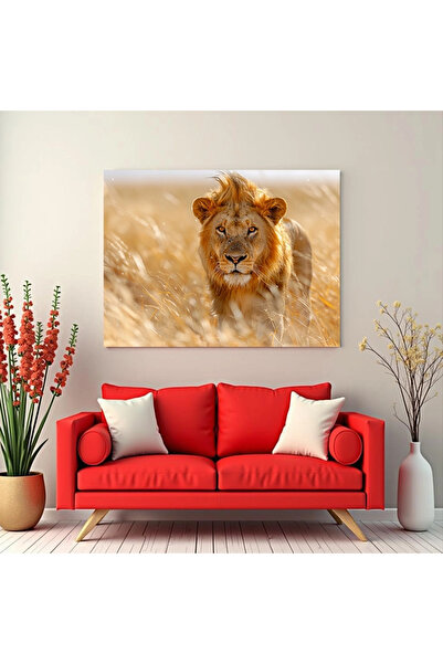 Printees Tablou - Leu în savană - Canvas pe șasiu - 40x30 cm