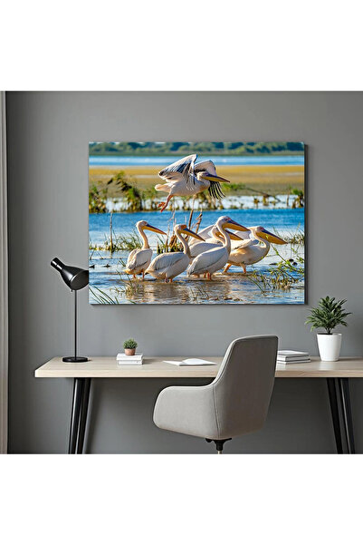 Printees Tablou - Pelicani în Delta Dunării - Canvas pe șasiu