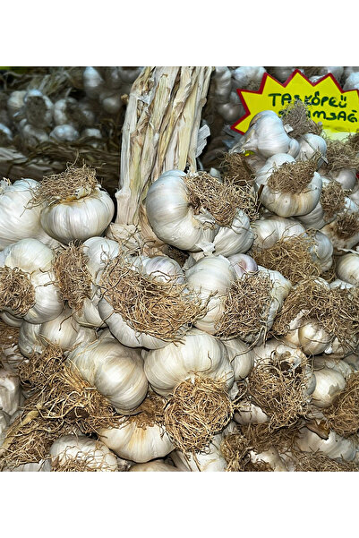 PeraMila Hakiki Kastamonu Taşköprü Sarımsağı Tarladan Sofralarınıza İri Boy Sarımsak 1 Kg Yeni Sezon