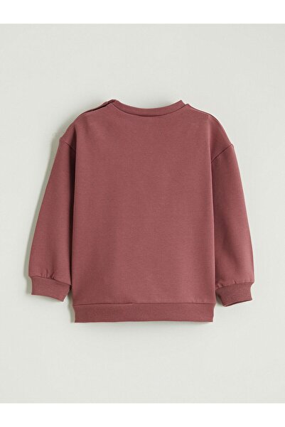 LC Waikiki LCW baby Crew Neck Printed Baby Boy Sweatshirt