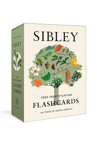 Random House Sibley Tree Identification Flashcards: 100 Trees of North America