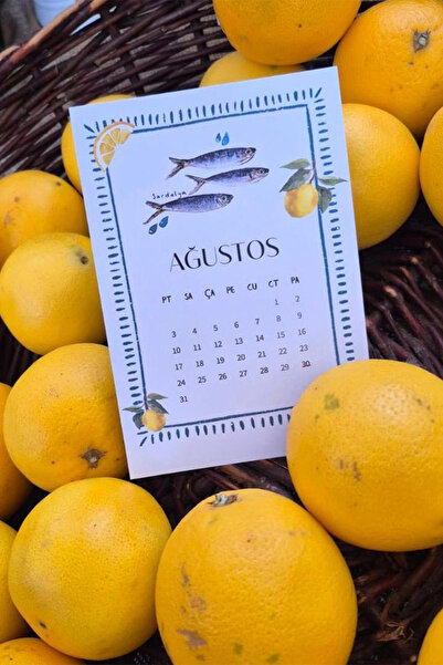 Lart du Leon Özel Tasarım 2026 Masa Takvimi | Suluboya Illüstrasyon | Ahşap Tutacaklı Balık Rehberi Takvimi