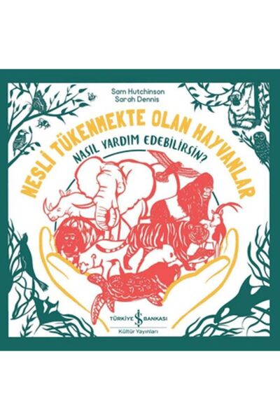 TÜRKİYE İŞ BANKASI KÜLTÜR YAYINLARI Çocuk Masal Kitapları | Eğitici Hikâyeler...