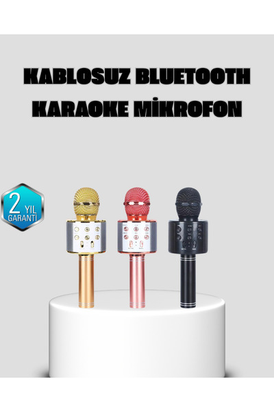 GENELOEM Taşınabilir Karaoke Mikrofon – Bluetooth USB ve AUX Girişli - MSDS22...