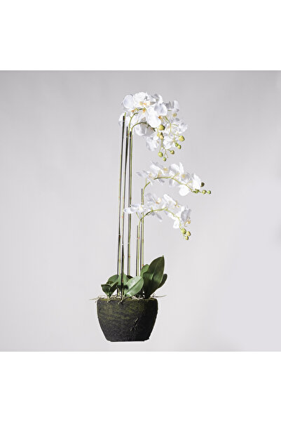 SUPERGREENS Planta artificiala Phalaenopsis Real Orchid 85cm
