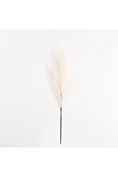 SUPERGREENS Artificial Pampas Plant Ecru 68cm