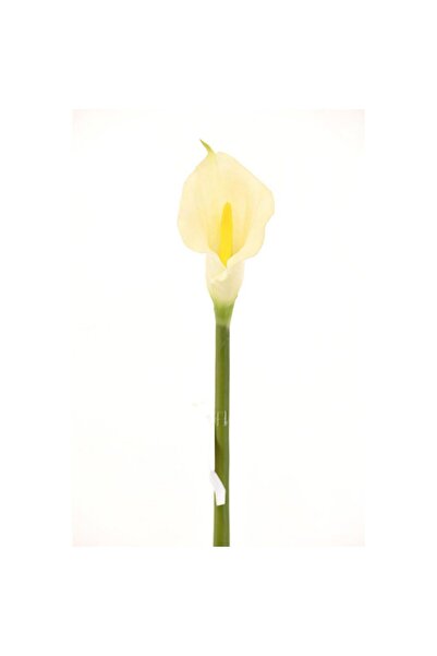 SUPERGREENS Cală artificială albă 76 cm