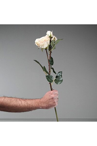 SUPERGREENS Trandafir artificial bej 61 cm