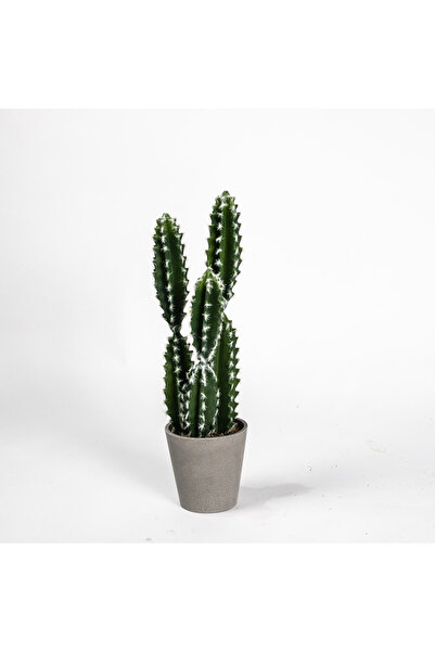 SUPERGREENS Artificial Plant Euphorbia Caerulescens 50cm