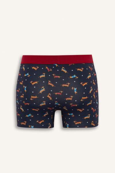 DeFacto Μπόξερ κανονικής εφαρμογής F9914AX25WN