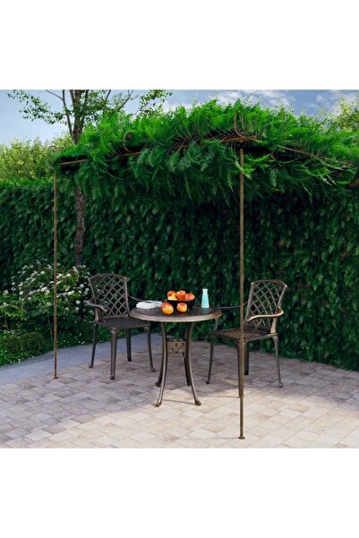 vidaxl شرفة حديقة بنية عتيقة 3×3×2.5 متر حديد