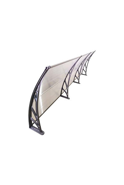 MAPROFI Door canopy 300x100cm awning shelter roof grey-transparent