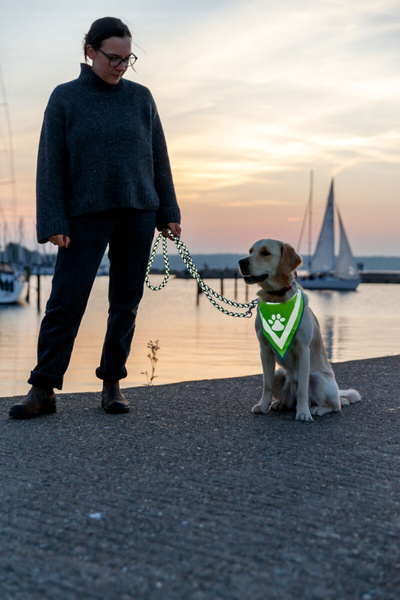 Trixie Bandană reflectorizantă, S-M (29-42 cm)