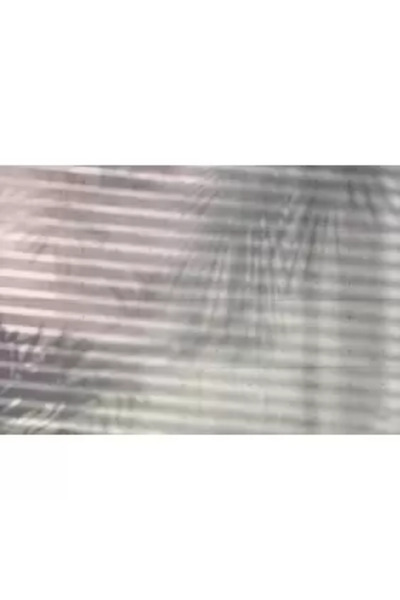 Komar Thematic Photo Wallpaper XXL4-059