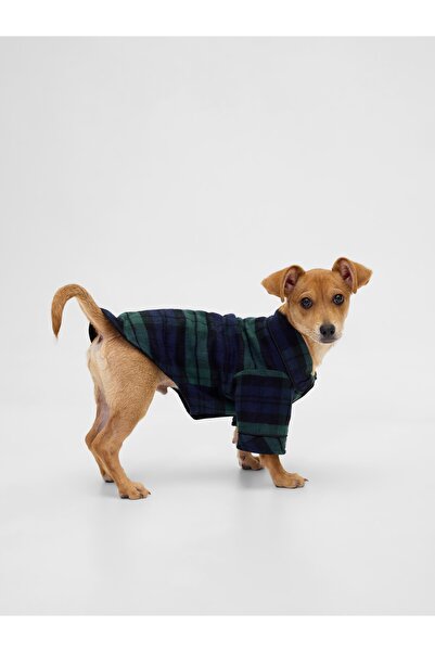 GAP Kadın Siyah Flannel Köpek Kıyafeti