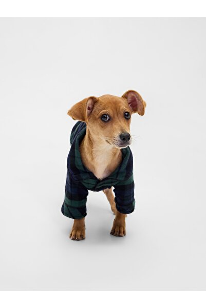 GAP Kadın Siyah Flannel Köpek Kıyafeti