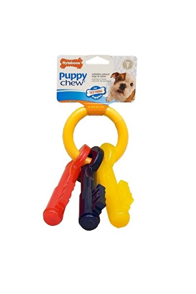 Nylabone Teething Keys Chewy Toy for Puppies