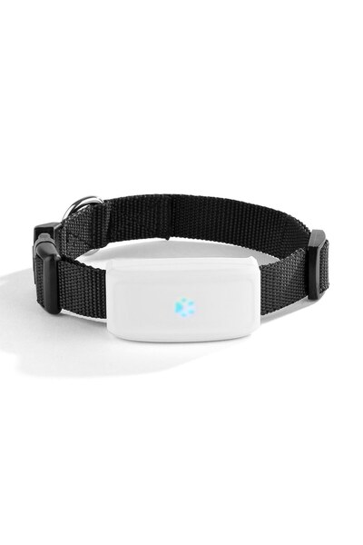 GizMondo TK911 GPS Tracker for Pets - Real-time GPS/LBS, Anti-lost, Geofence, IP67 Waterproof, Free