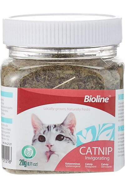 Bioline Invigorating Catnip Leaves Powder, Multicolor, 20G