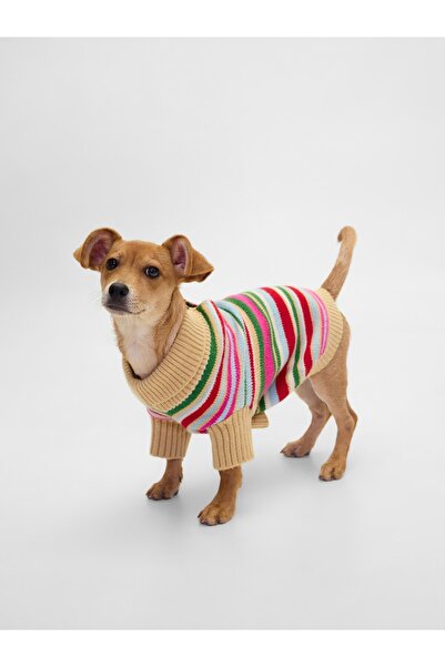 GAP Kadın Çok Renkli CashSoft Köpek Kıyafeti