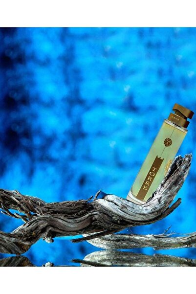 Margoun TORREGIANI Torre Pour Homme EDT 100ml Eau de Toilette