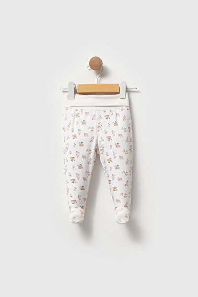 Tiffany Nova Miny Cute Cates Theme Patikli Alt