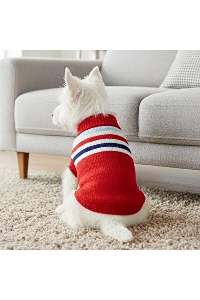 OEM Stylish sweater, for small and medium pets, XINA2211
