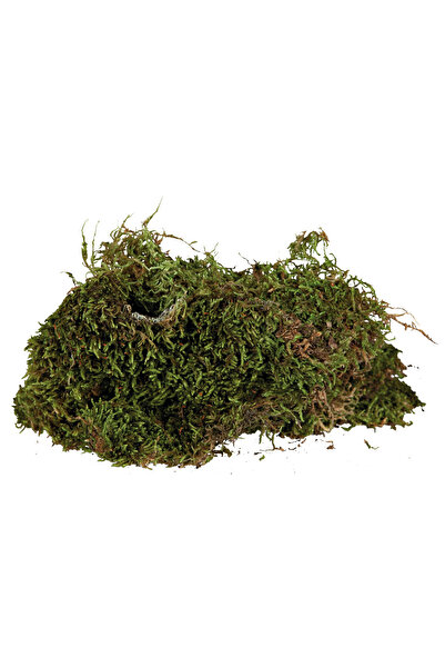 Trixie Substrate for Humid Terrariums 200 g (76155)