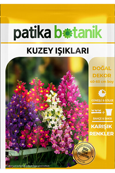 Patika Botanik 100 Adet Kuzey Işıkları Çiçek Tohumu (Linaria Maroccana)