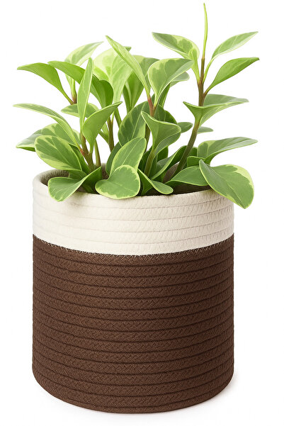 MaVaux Dekoratif Jüt Saplı Hasır Sepet Saksı 20cm X 20 Cm, Jüt Bej Saksılık, ...