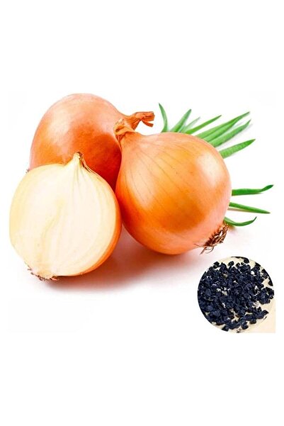 Generic White onion seeds - large golden skin