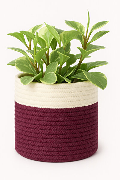 MaVaux Dekoratif Jüt Saplı Hasır Sepet Saksı 20cm X 20 Cm, Jüt Bej Saksılık, ...