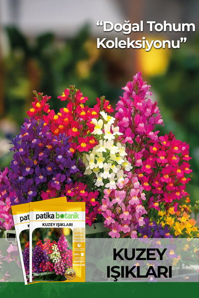 Patika Botanik 100 Adet Kuzey Işıkları Çiçek Tohumu