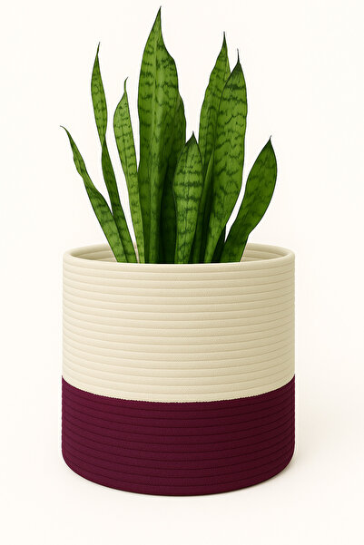 MaVaux Dekoratif Jüt Saplı Hasır Sepet Saksı 20cm X 20 Cm, Jüt Bej Saksılık, ...