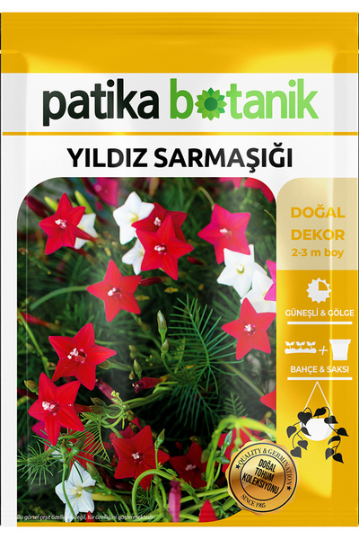 Patika Botanik 5 Adet Yıldız Sarmaşığı Çiçek Tohumu (Ipomoea Quamoclit)