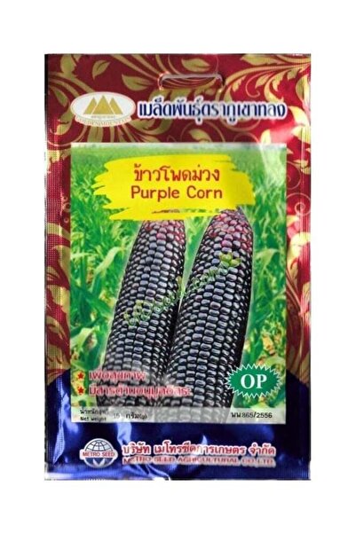 Generic Rare hybrid purple corn seeds for planting