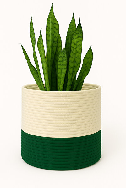 MaVaux Dekoratif Jüt Saplı Hasır Sepet Saksı 20cm X 20 Cm, Jüt Bej Saksılık, ...